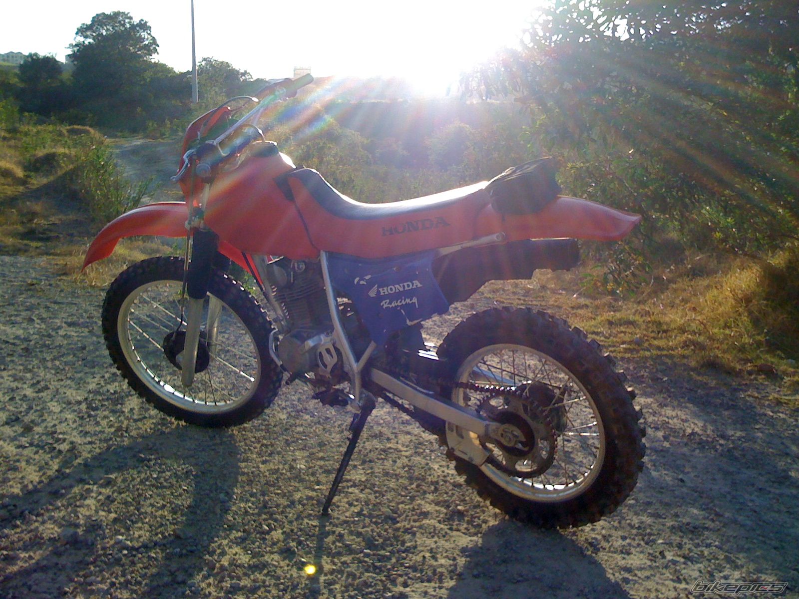 Photo 1952413