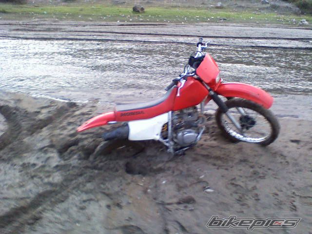 Photo 1952420