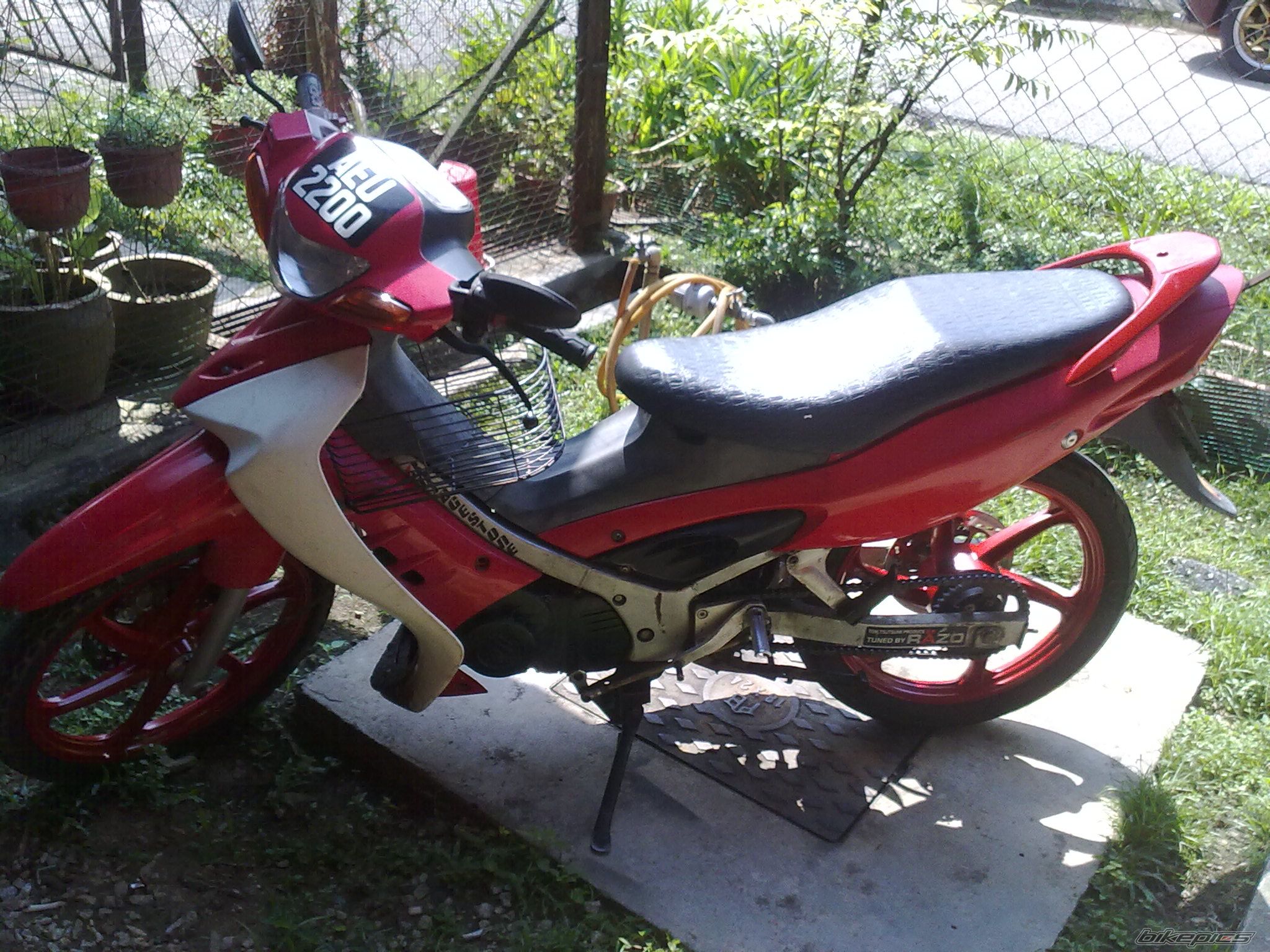 Photo 1952439