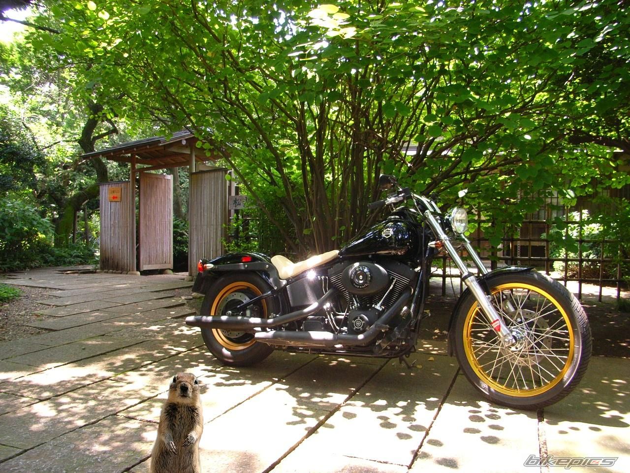 Bike Photo 1952463