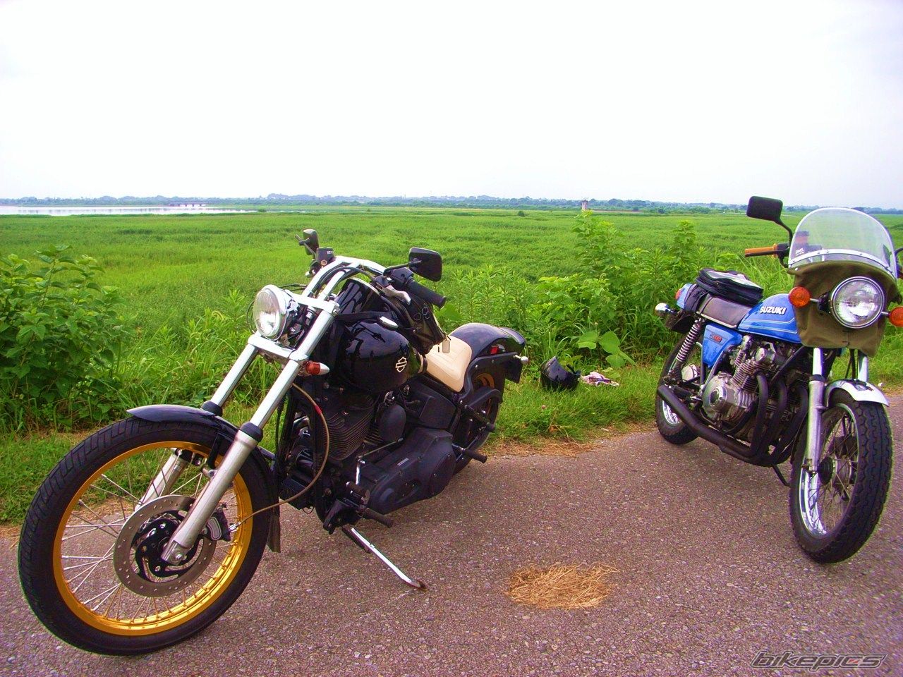 Bike Photo 1952464