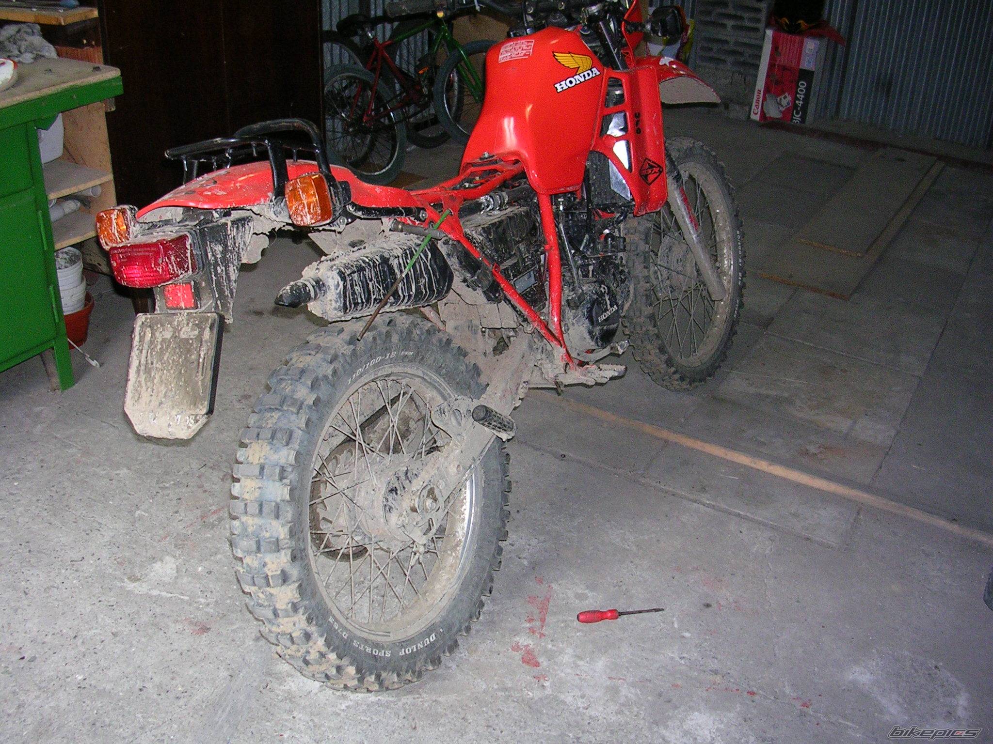 Bike Photo 195271