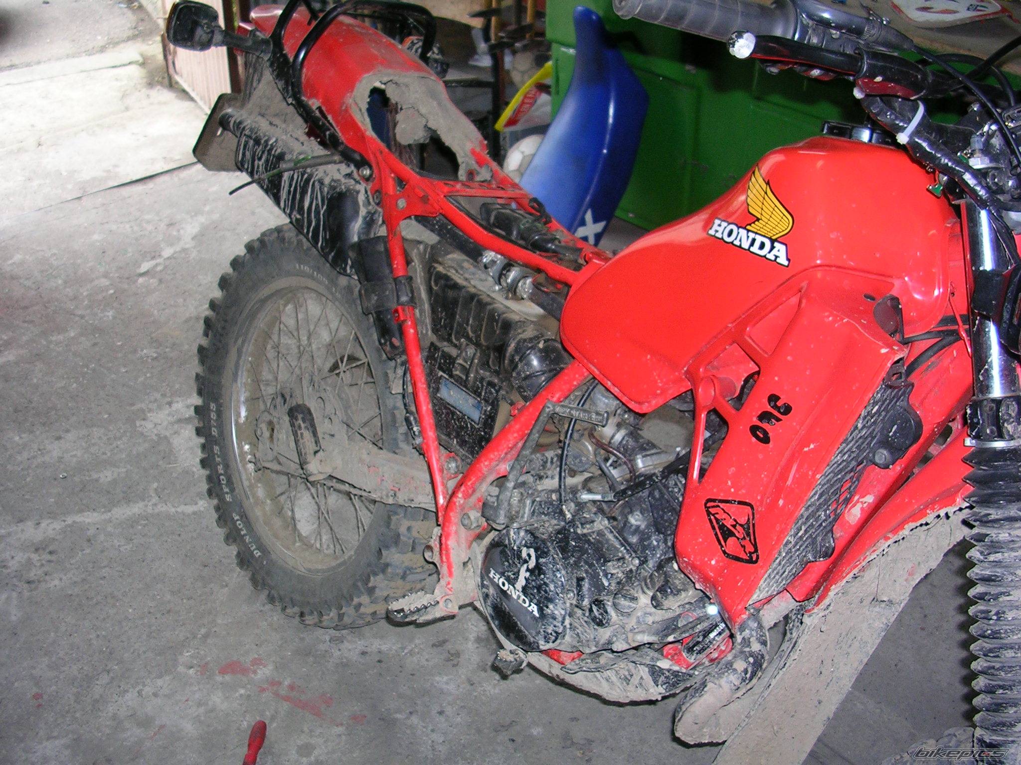 Photo 195273
