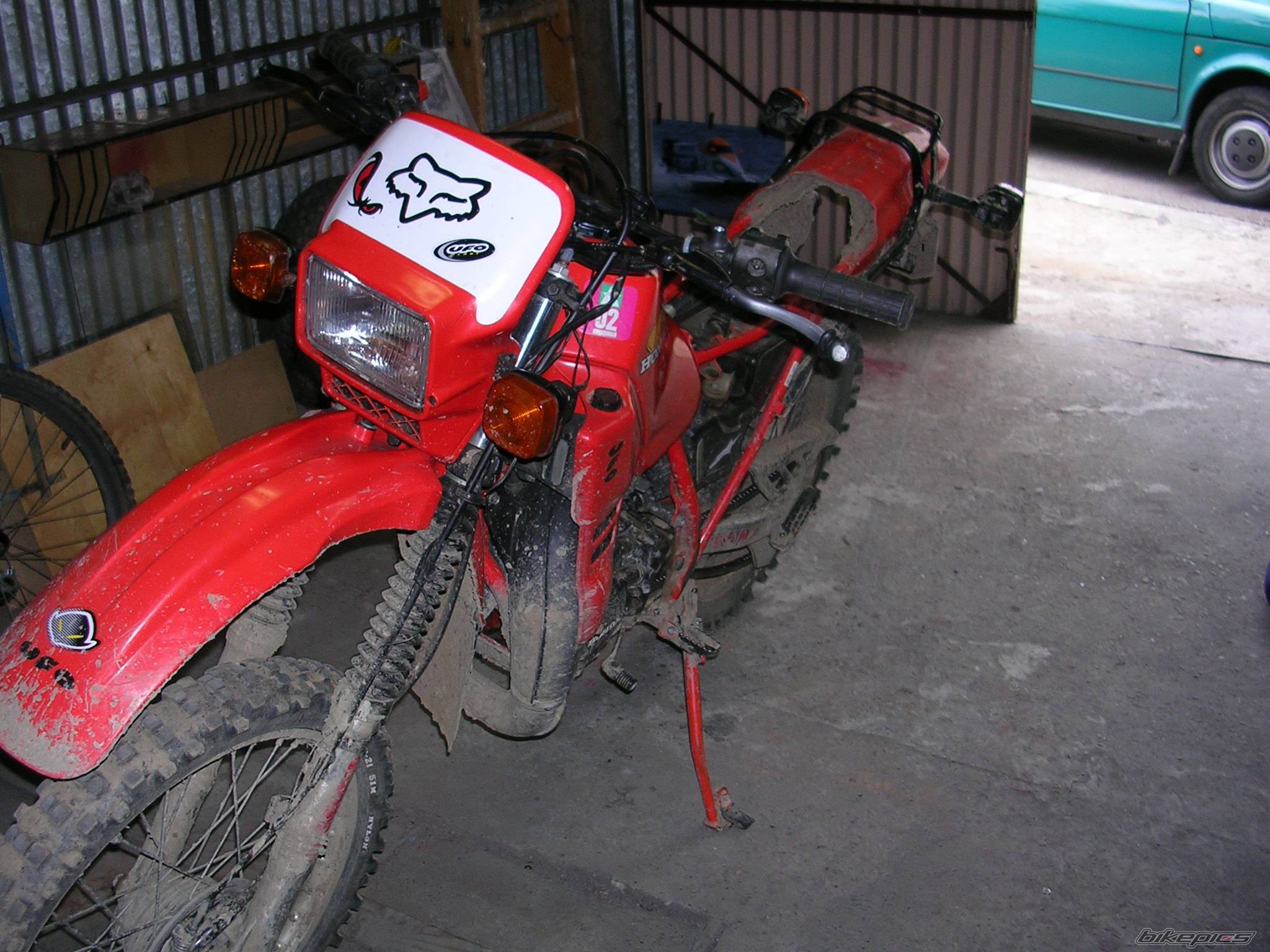 Photo 195275