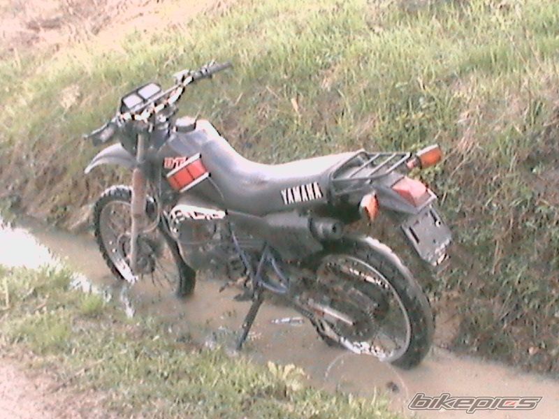 Bike Photo 1952795