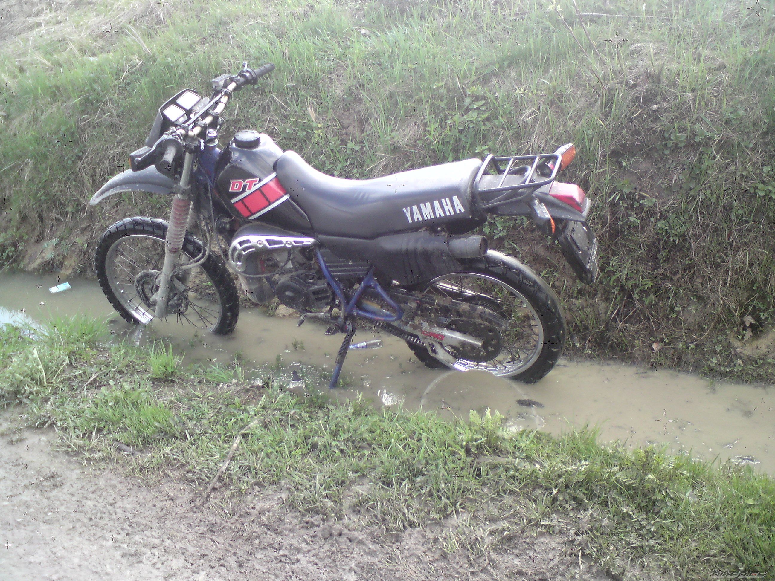 Photo 1952799