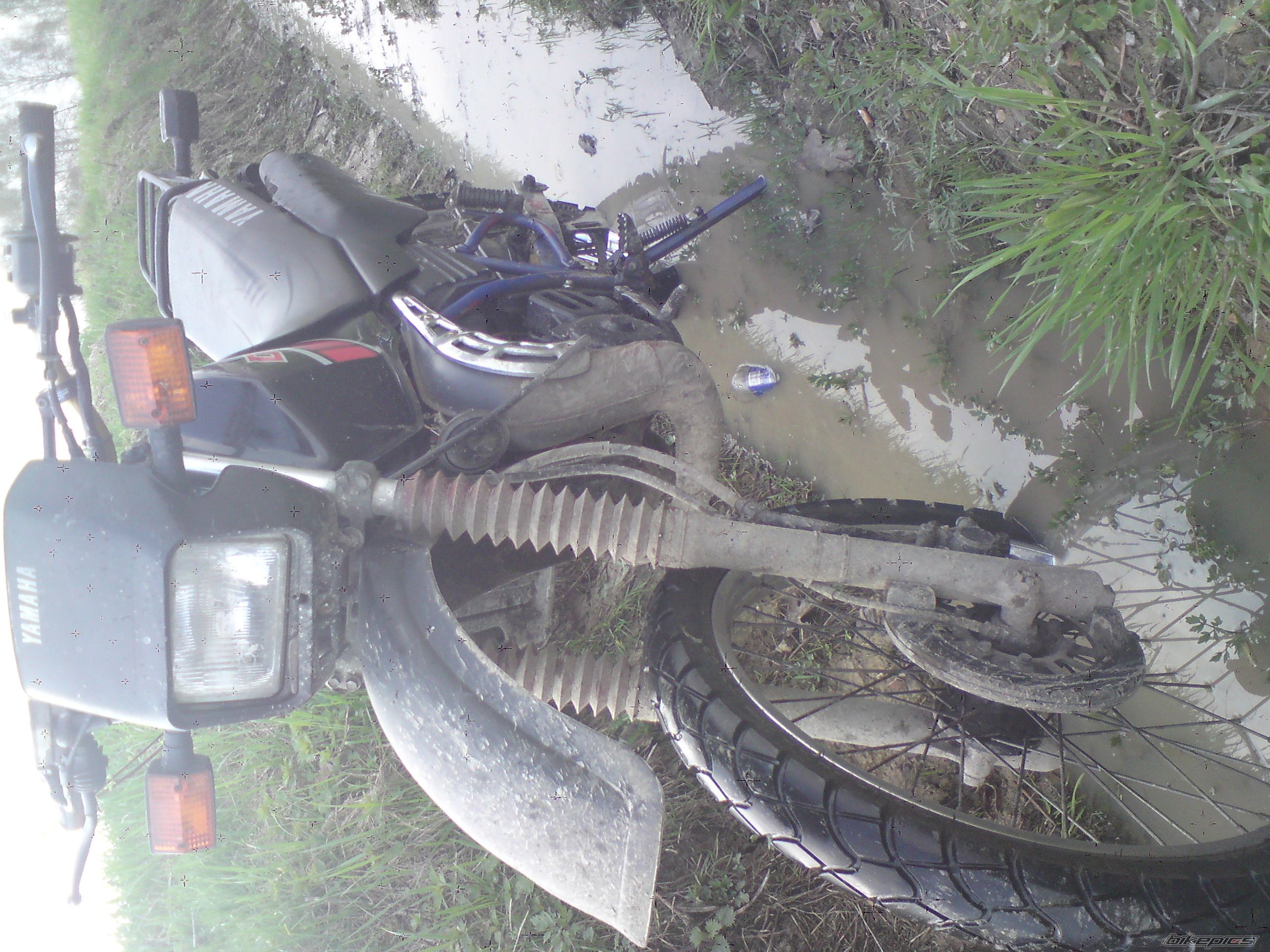 Photo 1952804