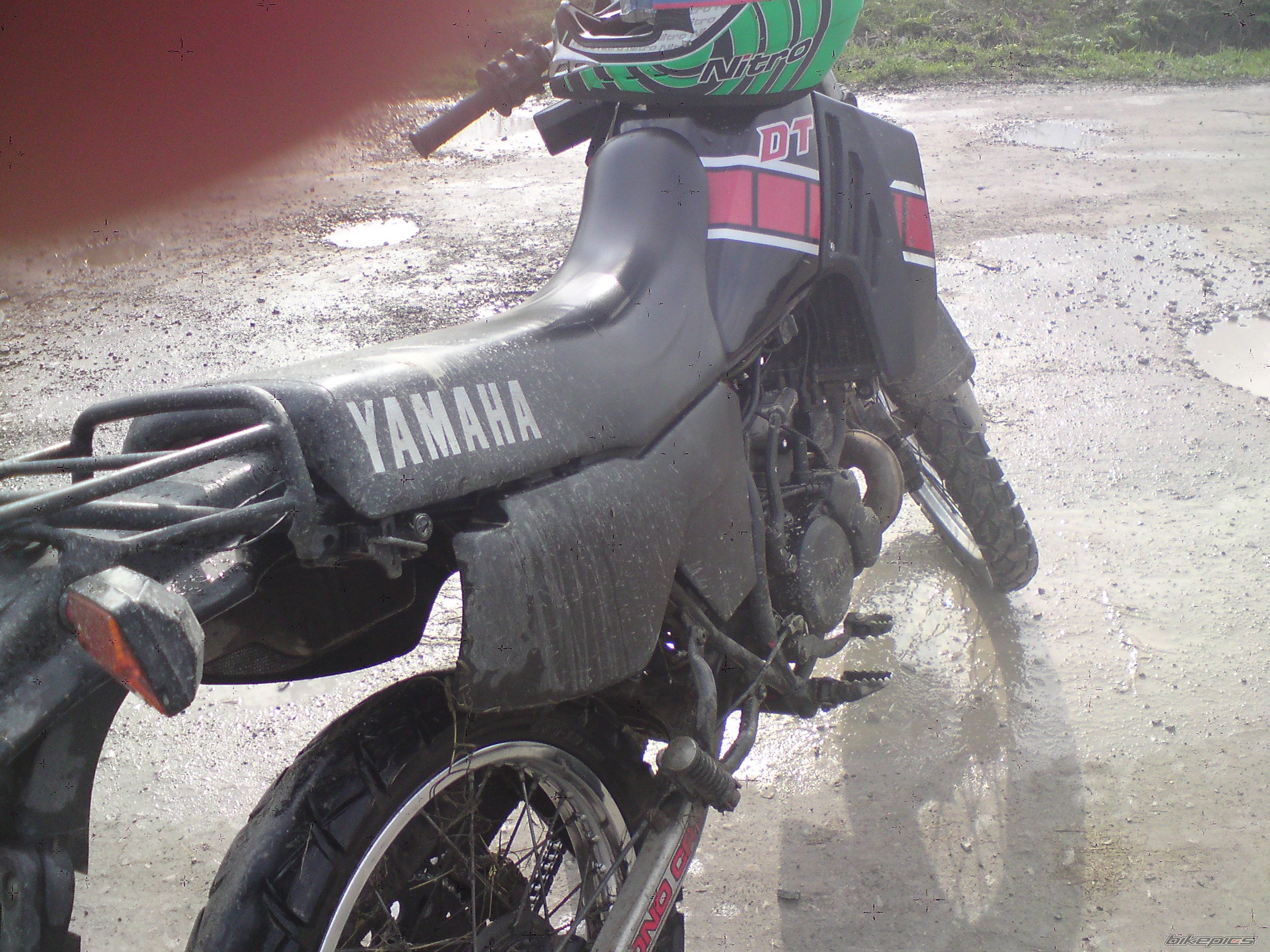 Photo 1952812
