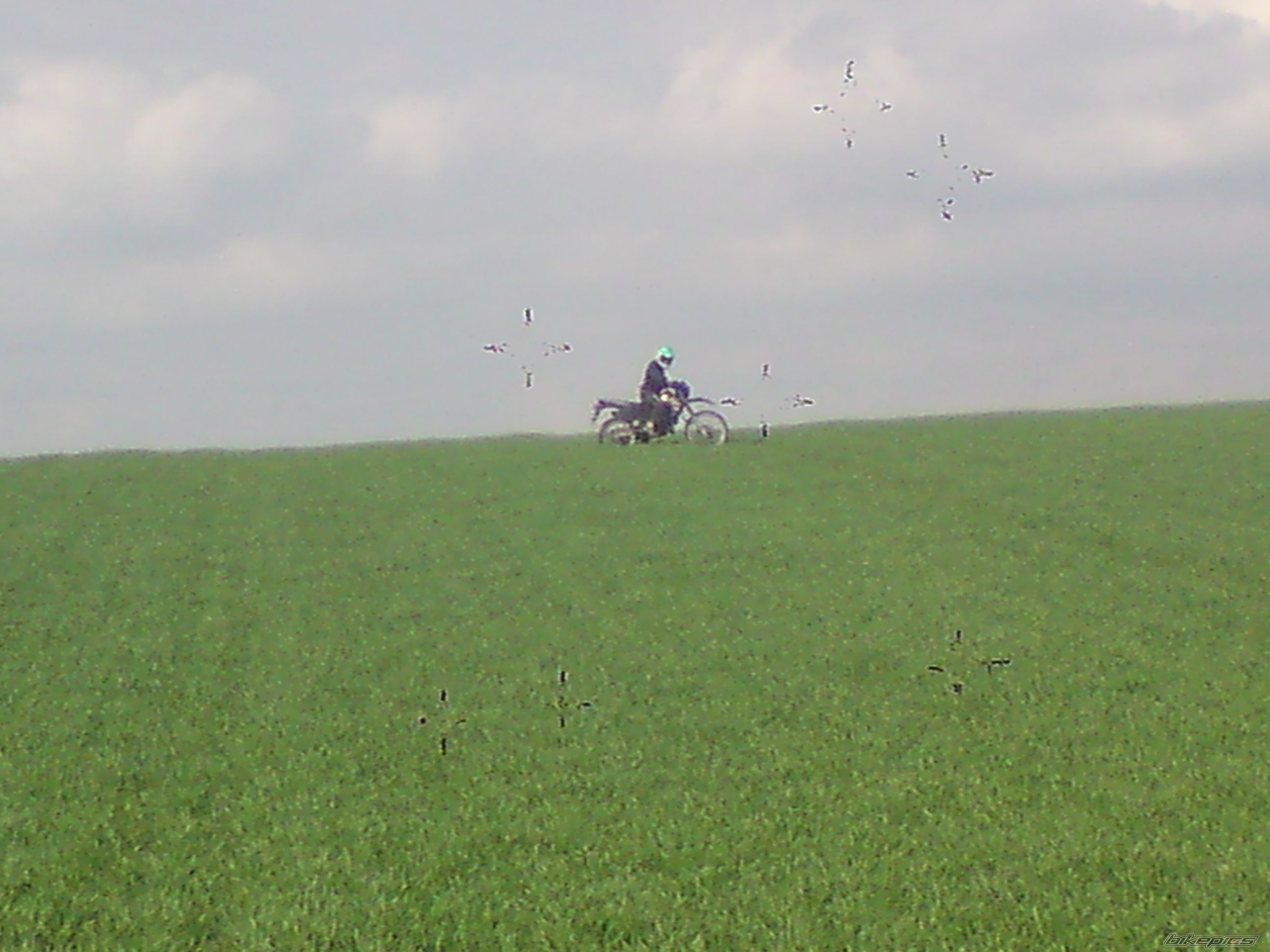 Bike Photo 1952822