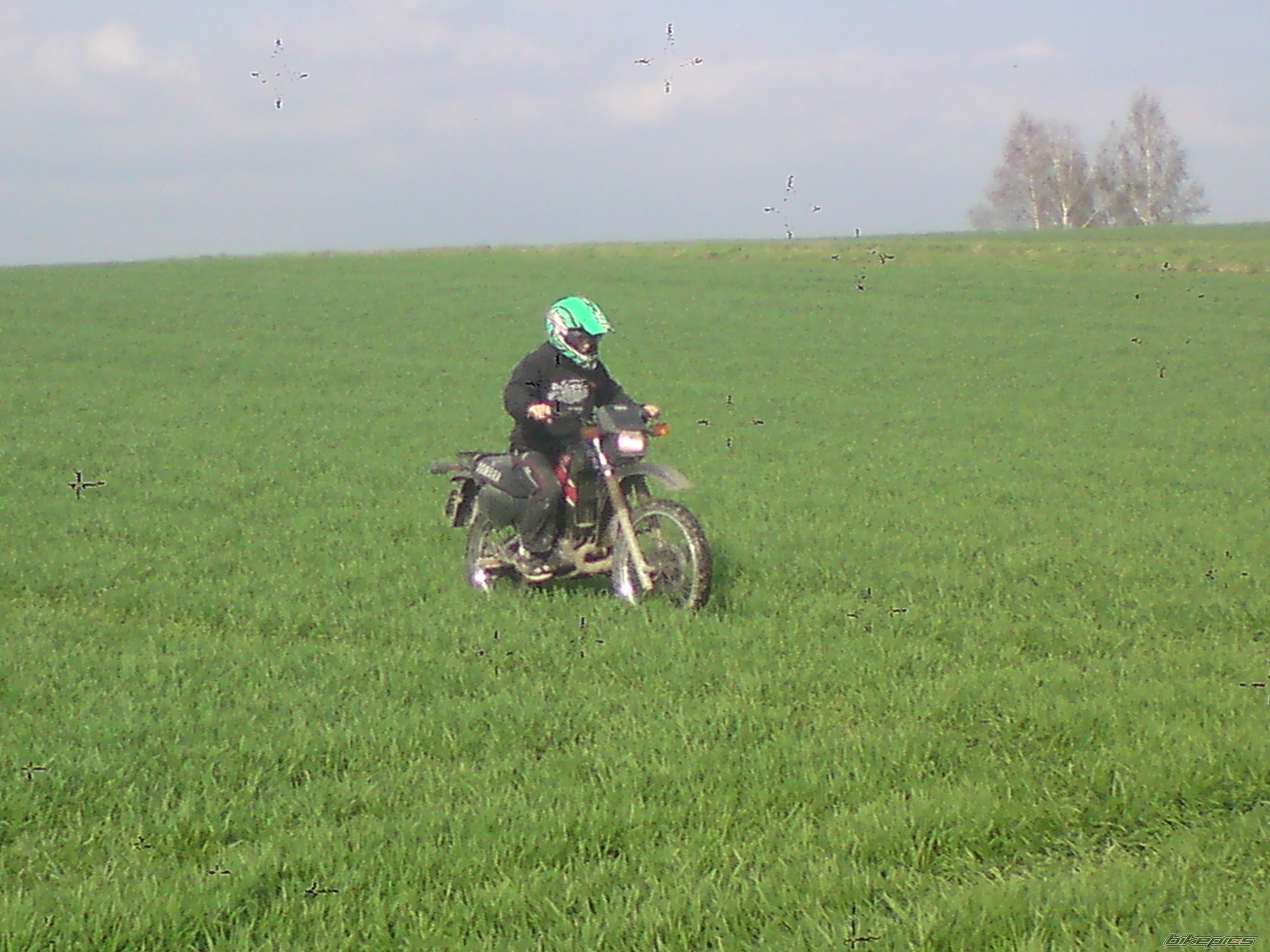 Bike Photo 1952823