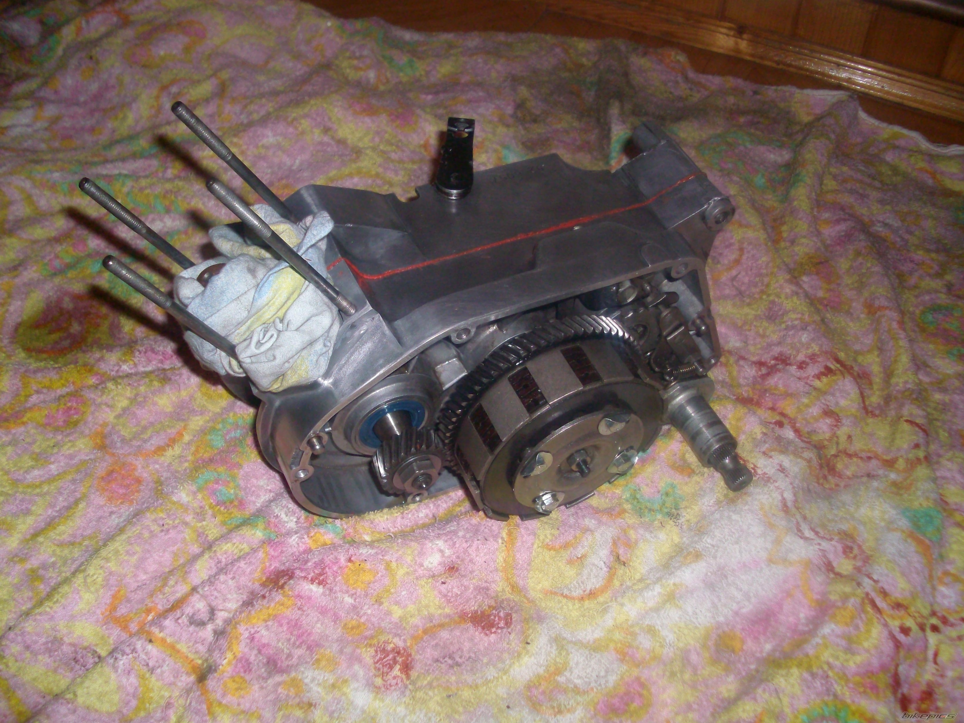 Photo 1952896