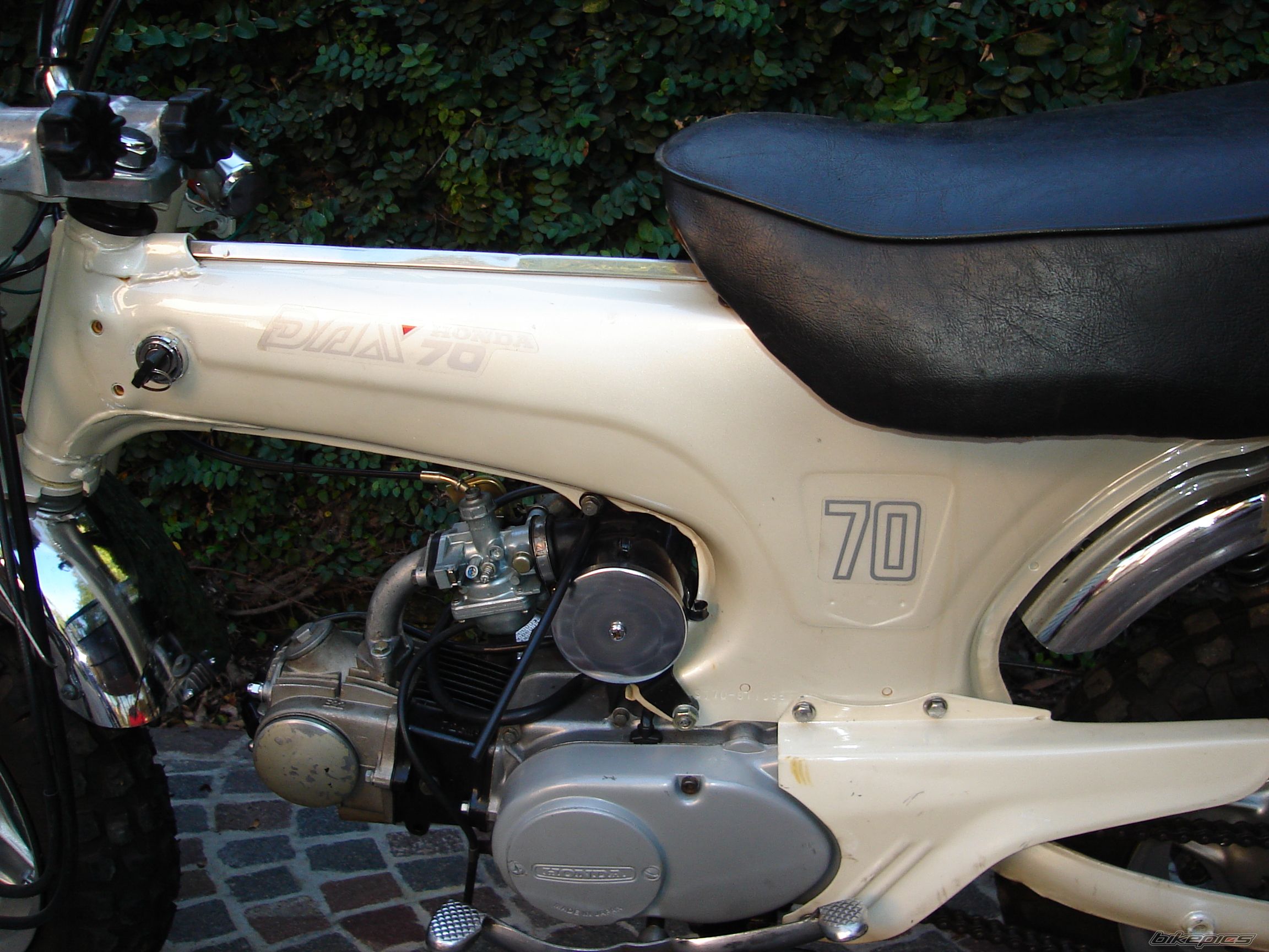 Photo 1953012
