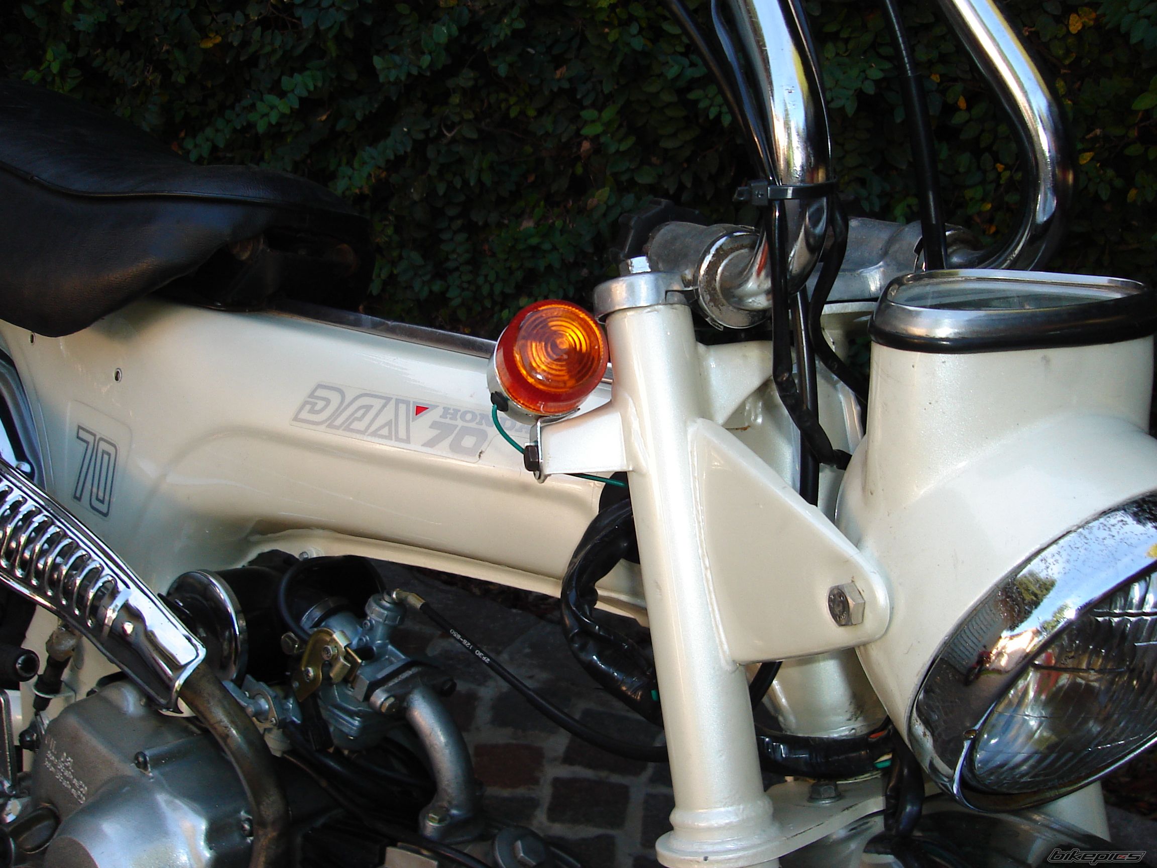 Photo 1953017