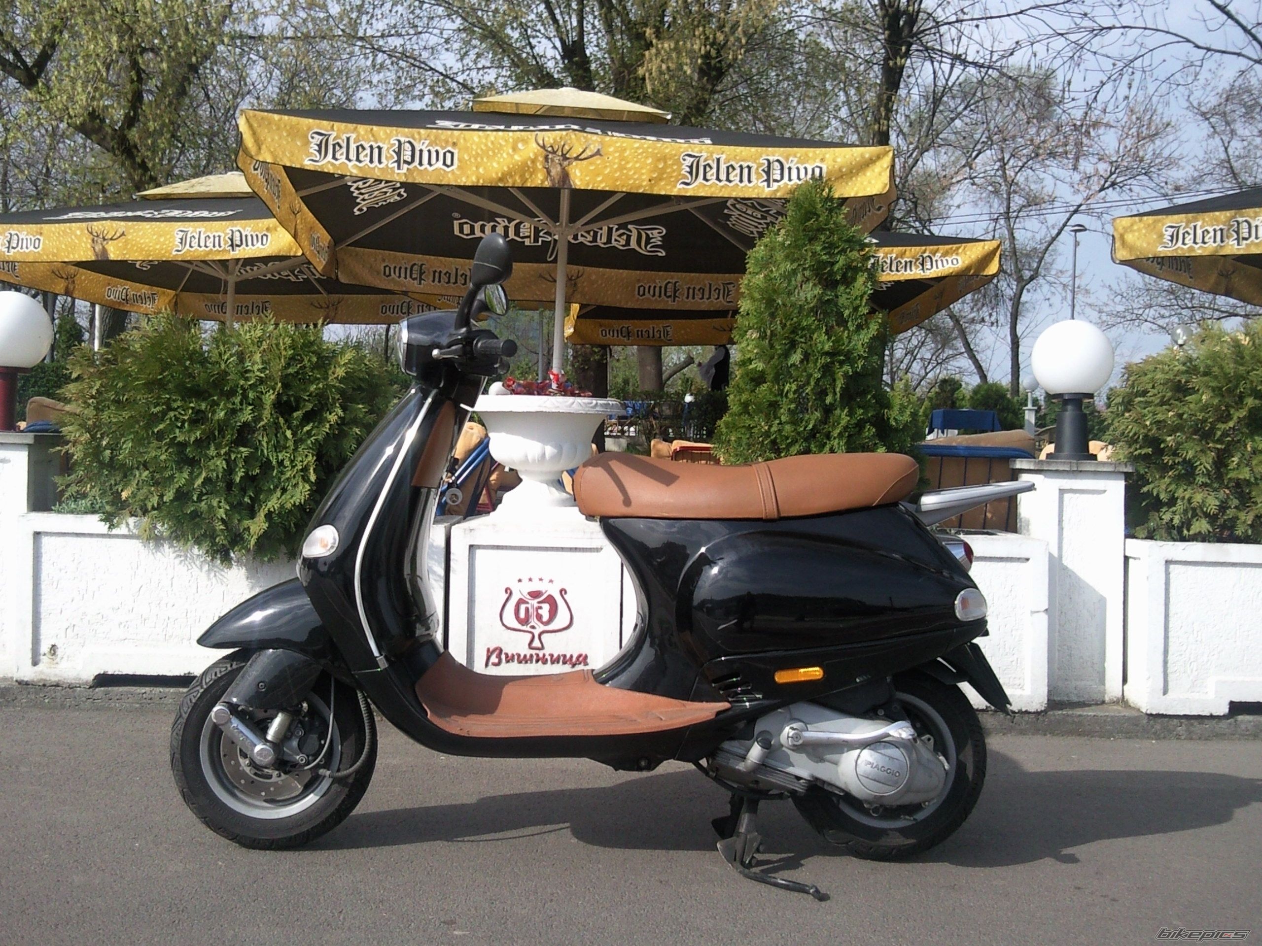 Bike Photo 1953025