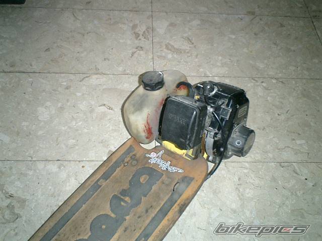 Photo 195311
