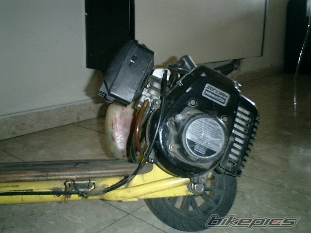 Photo 195312