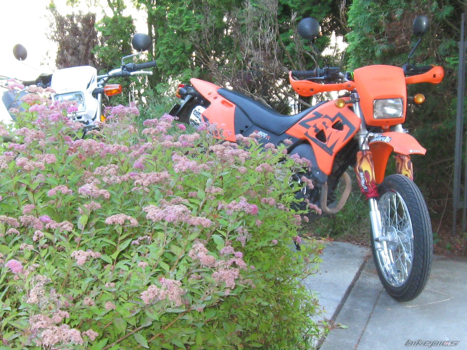 Photo 1953124