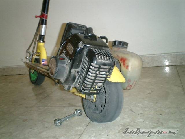 Photo 195313