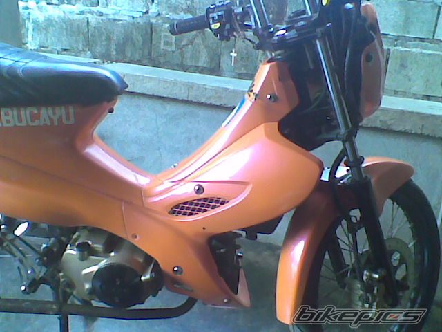 Photo 1953155