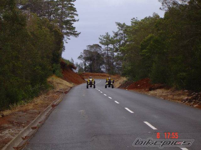 Photo 195321