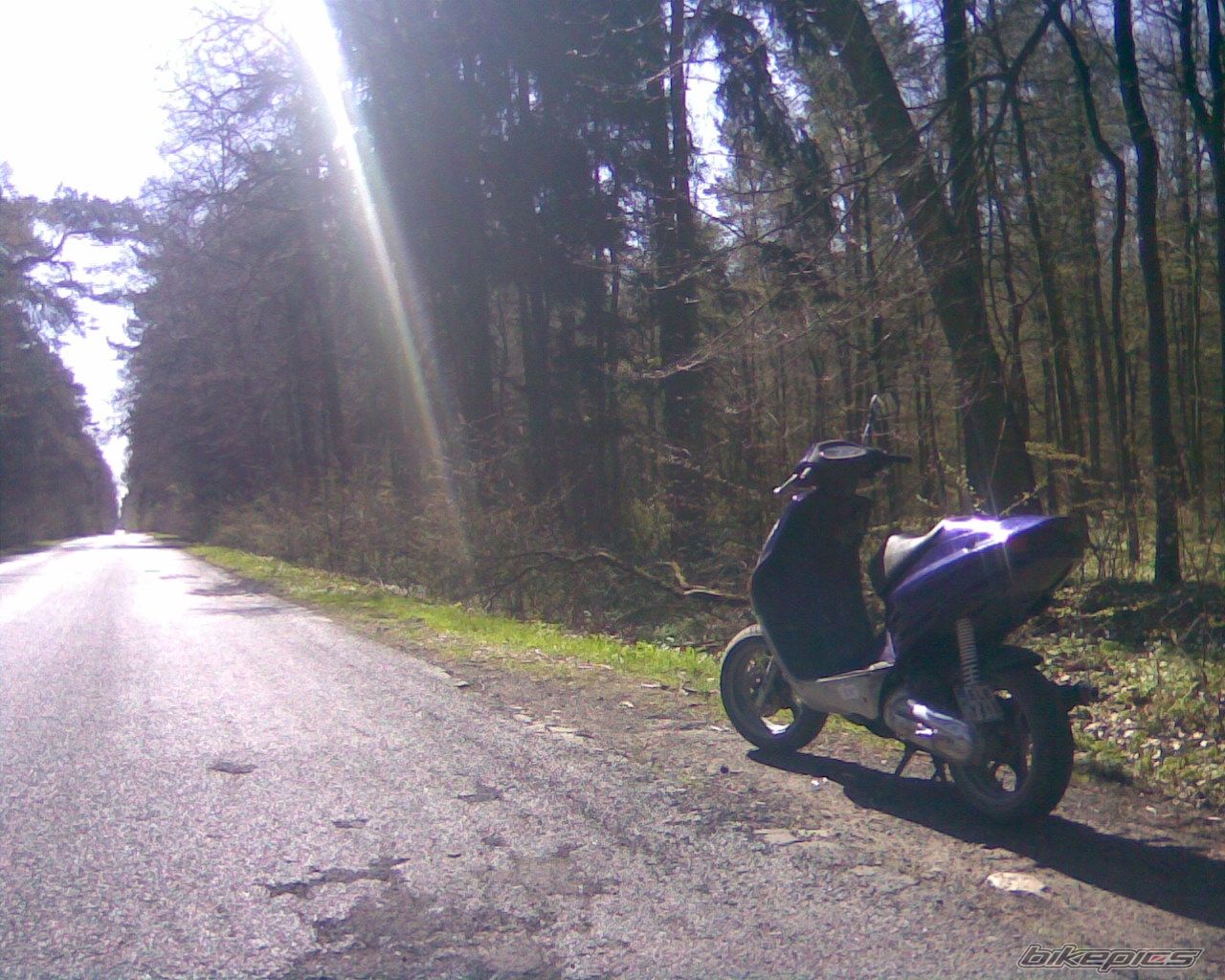 Photo 1953230