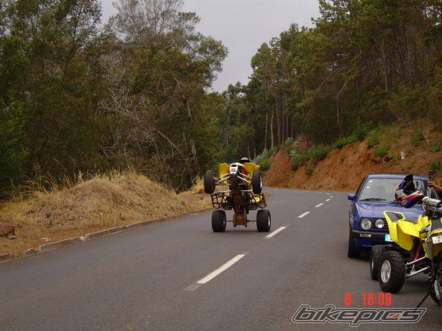 Photo 195329