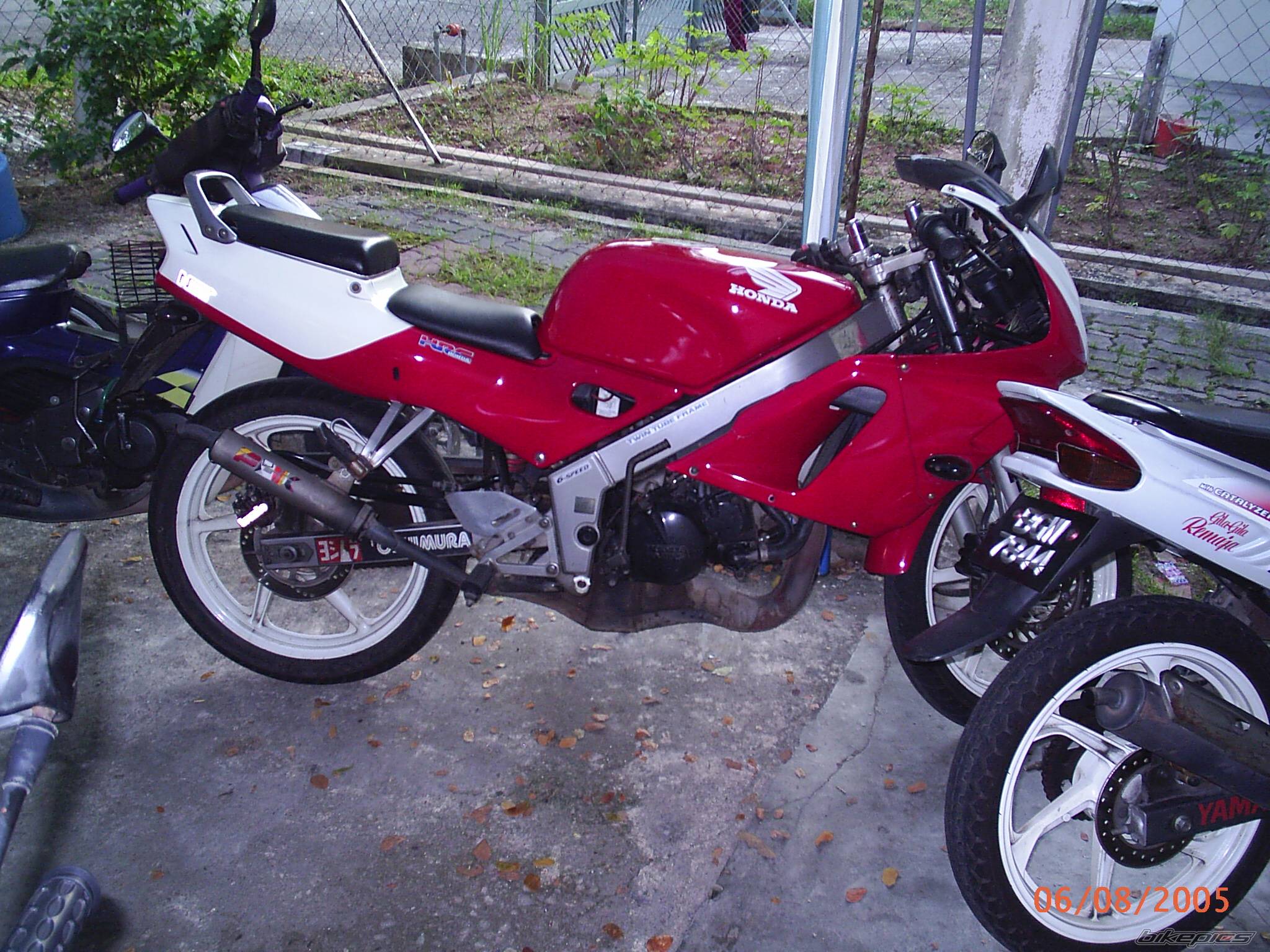 Photo 195337