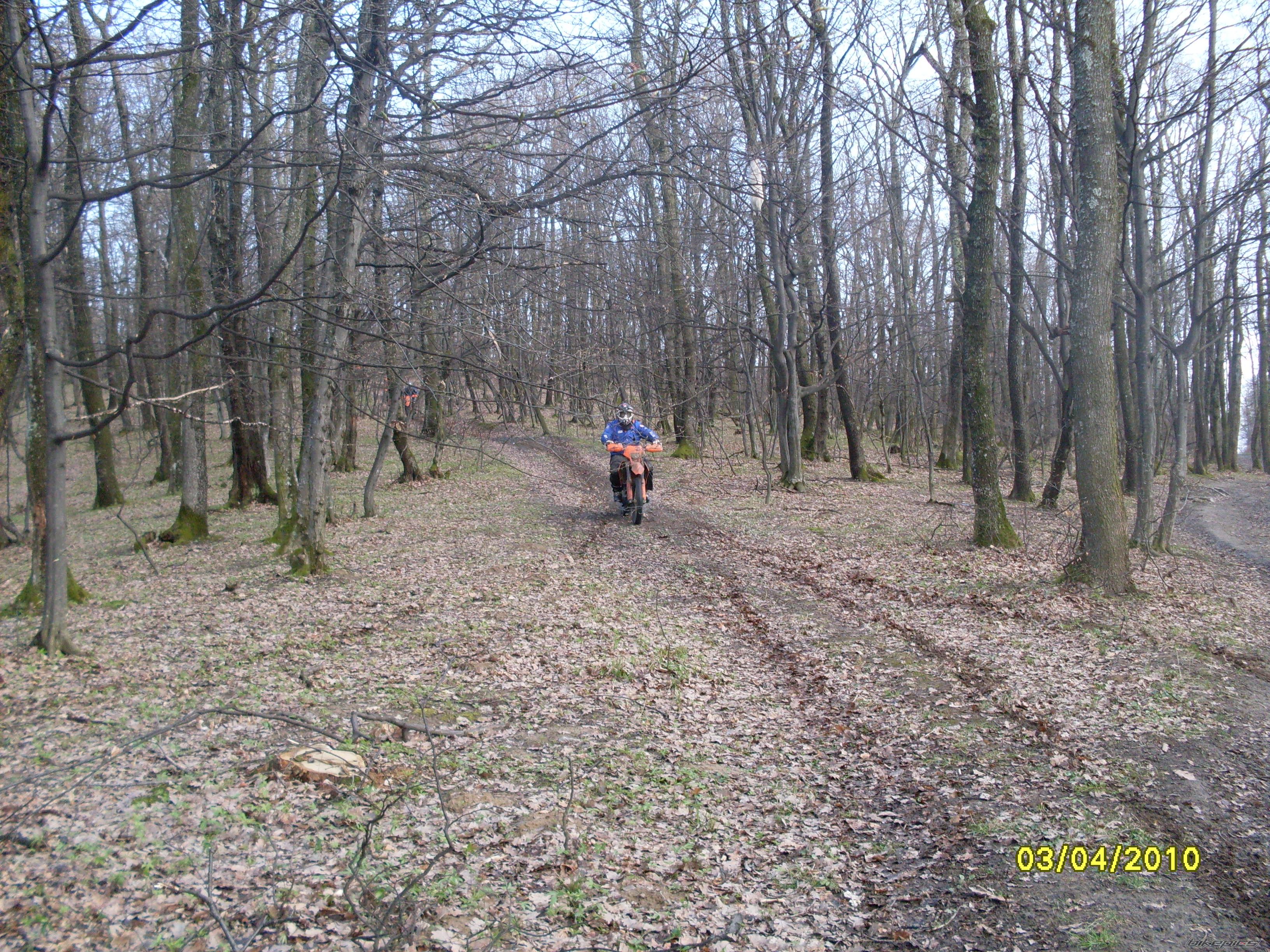 Bike Photo 1953398