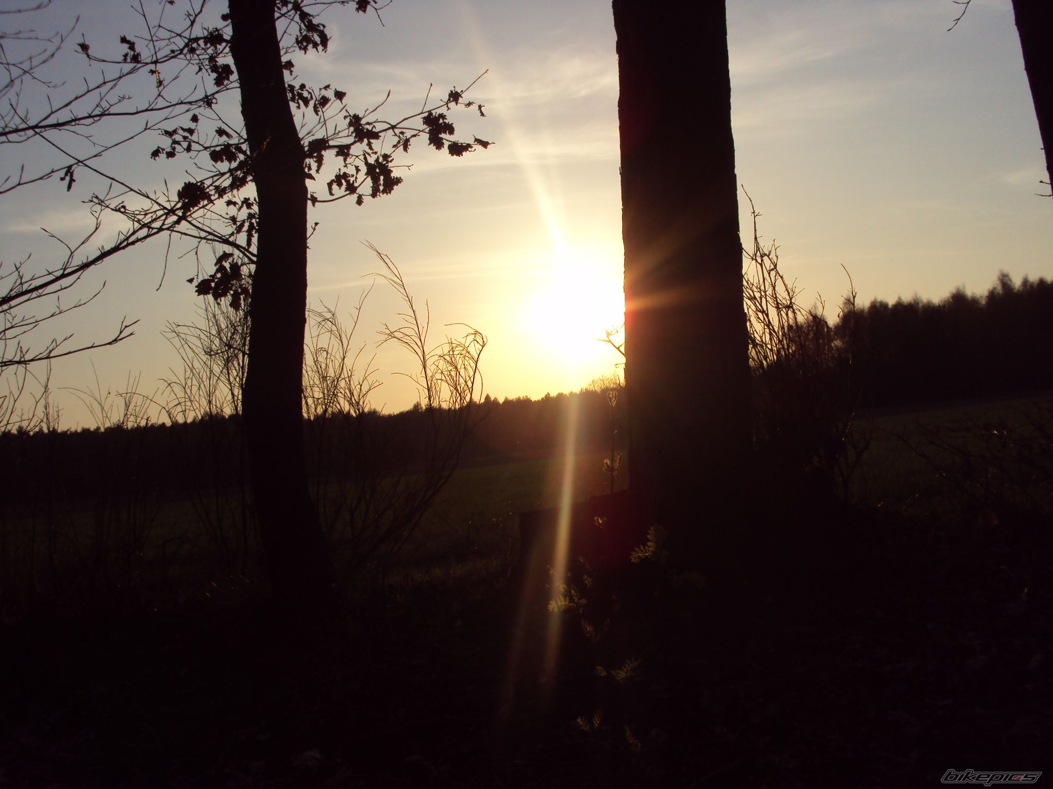 Photo 1953693