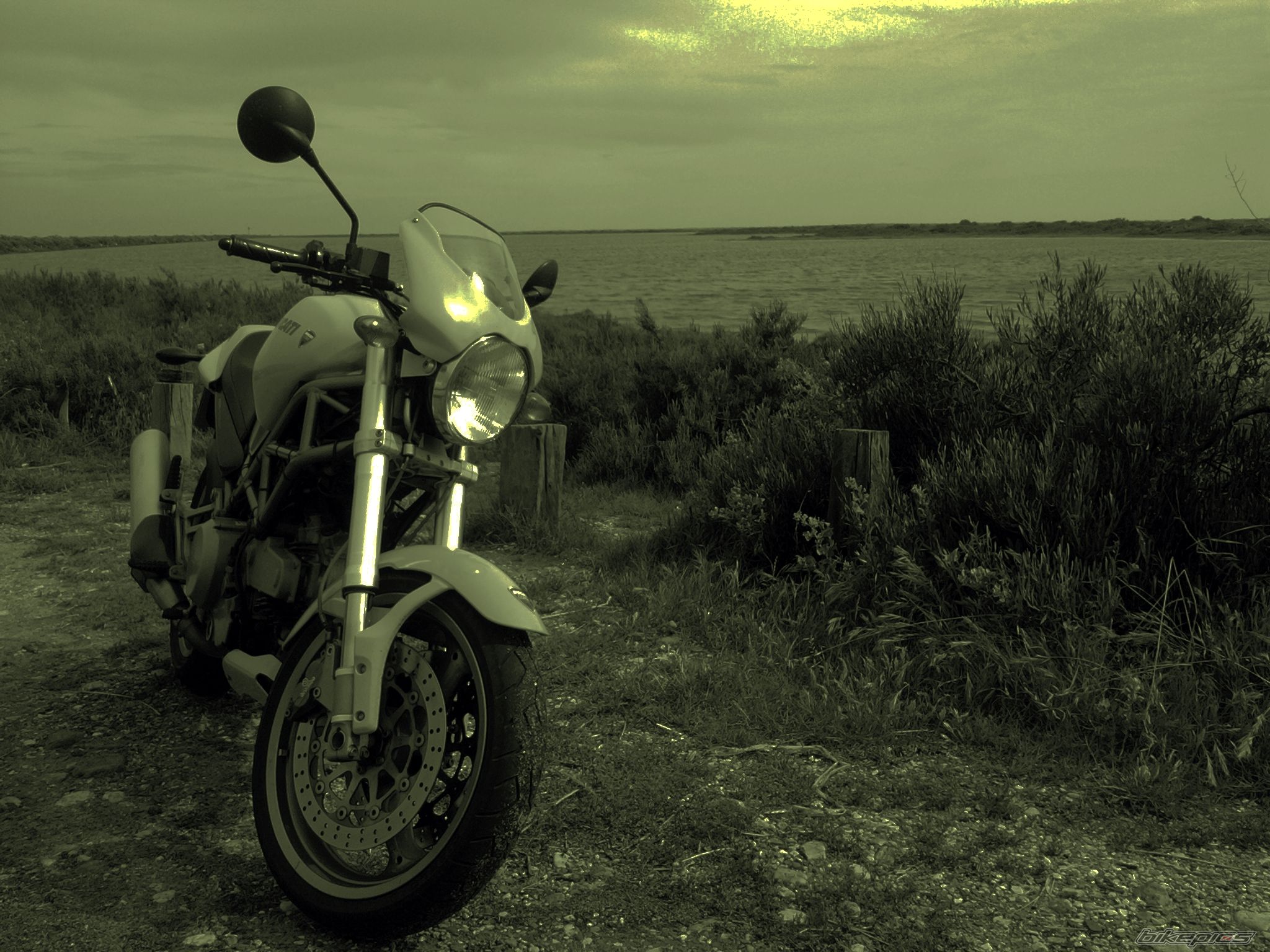 Photo 1953695