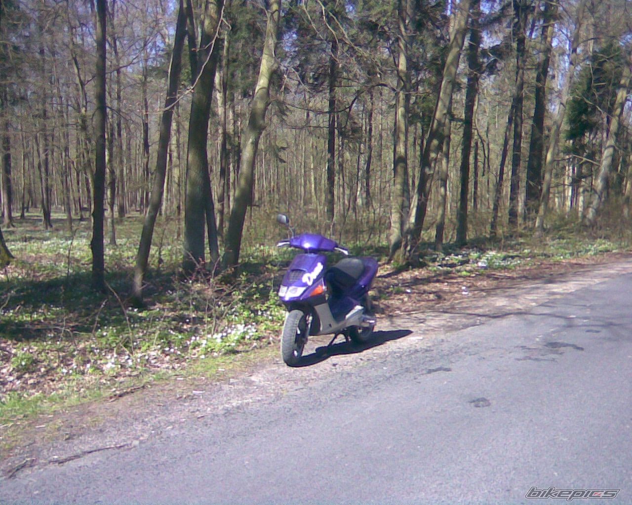 Photo 1953703