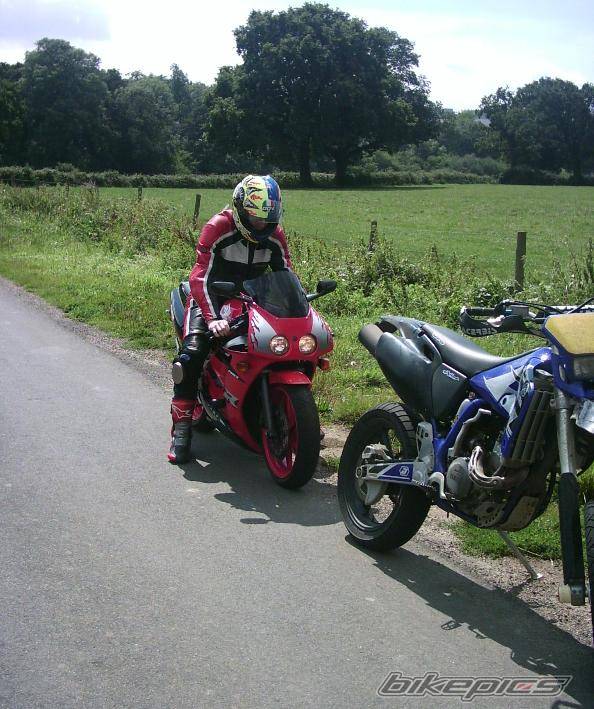 Photo 195372
