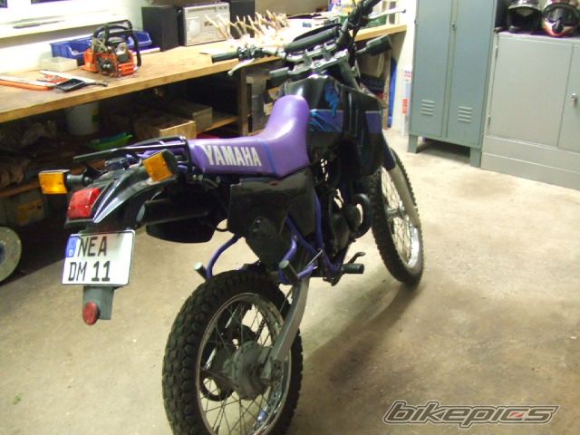 Photo 1953755