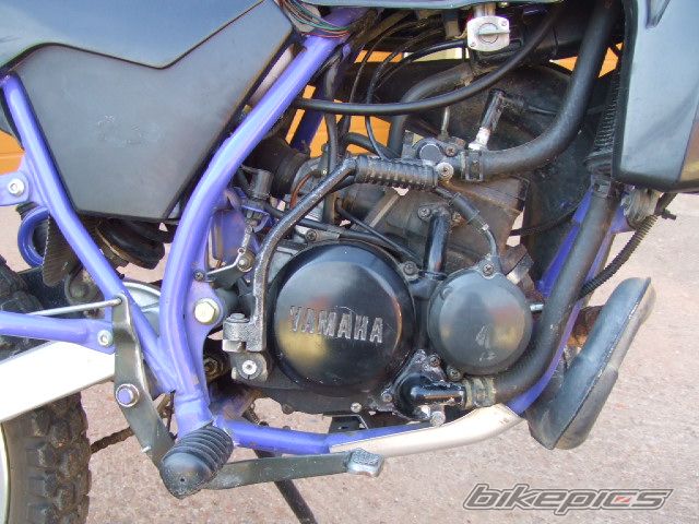 Photo 1953758