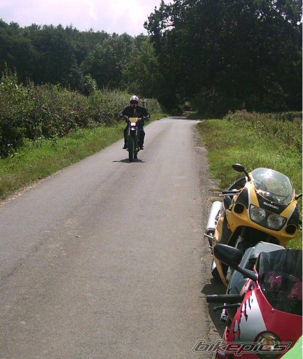 Photo 195381