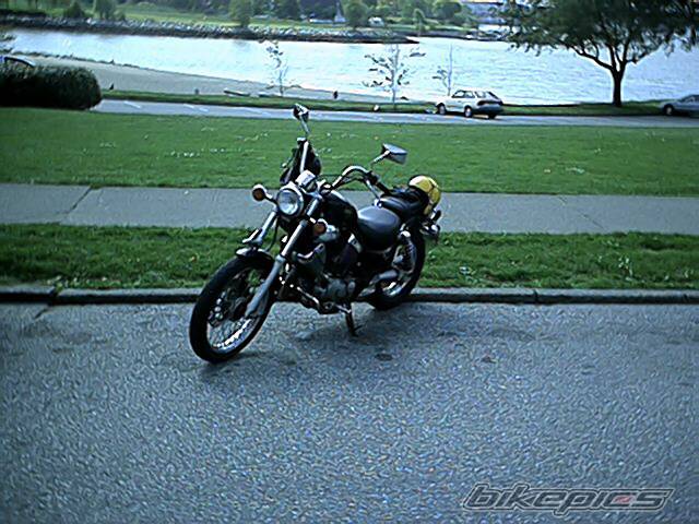 Photo 195390