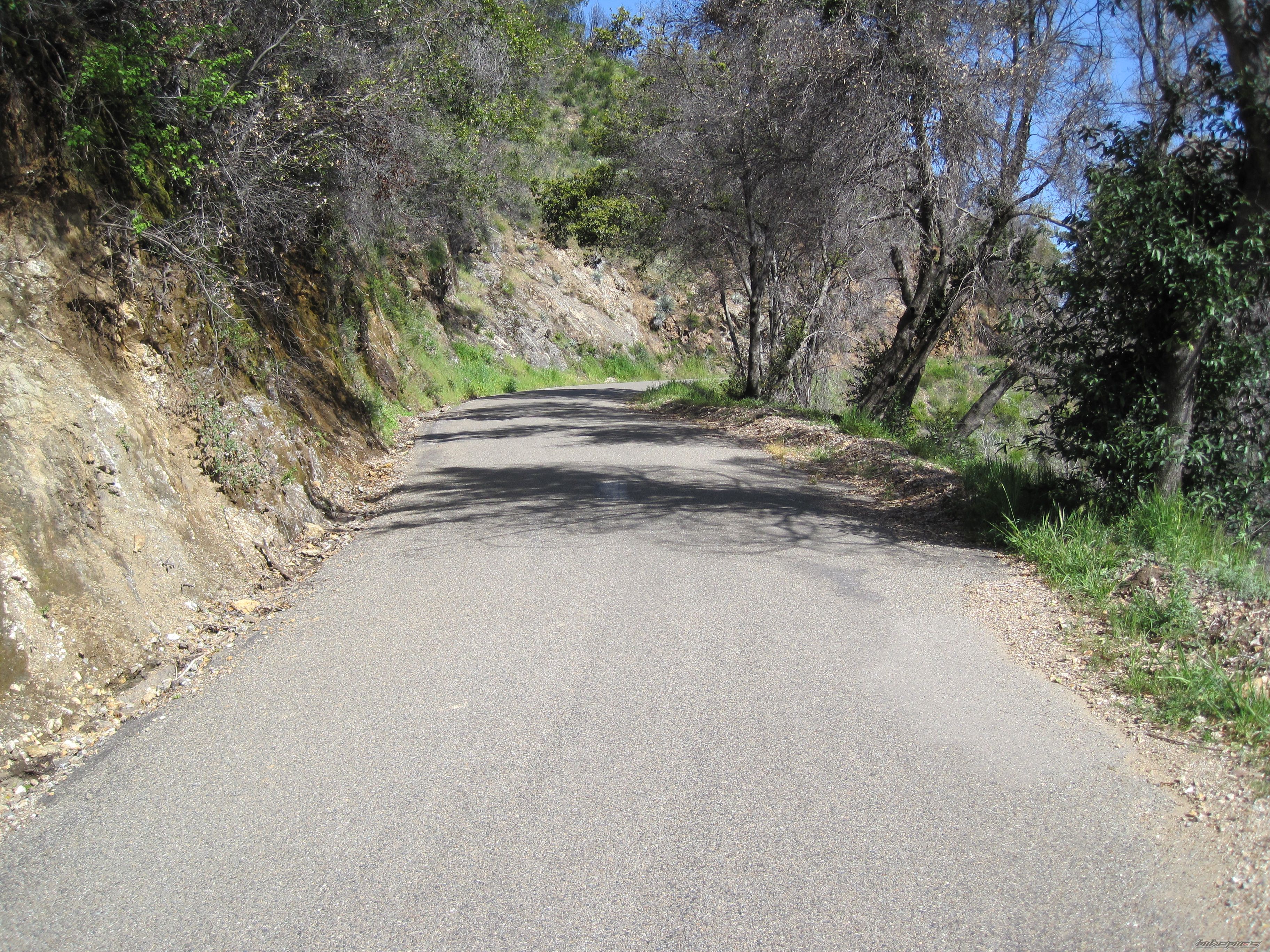 Bike Photo 1953986