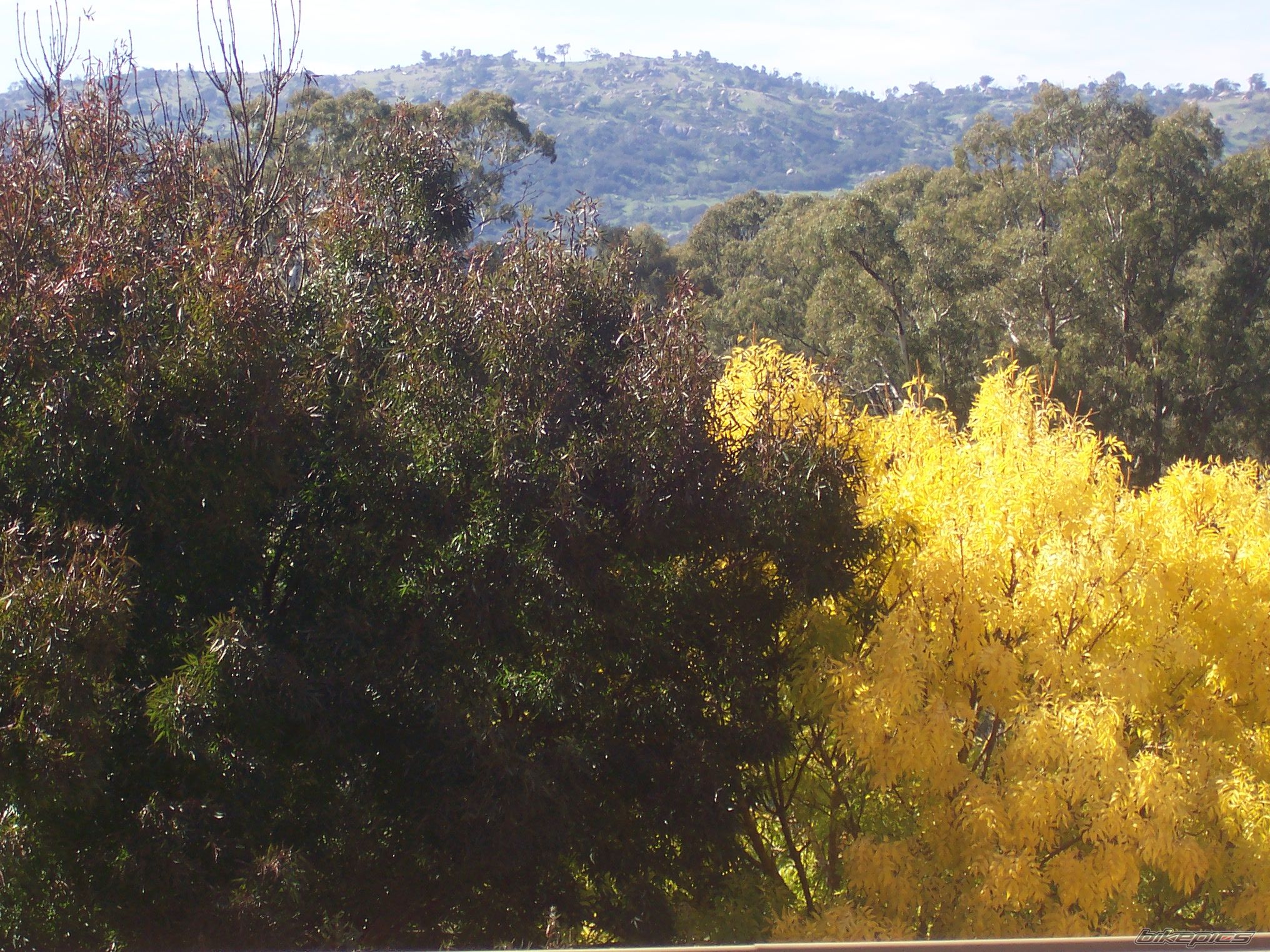 Photo 1954059