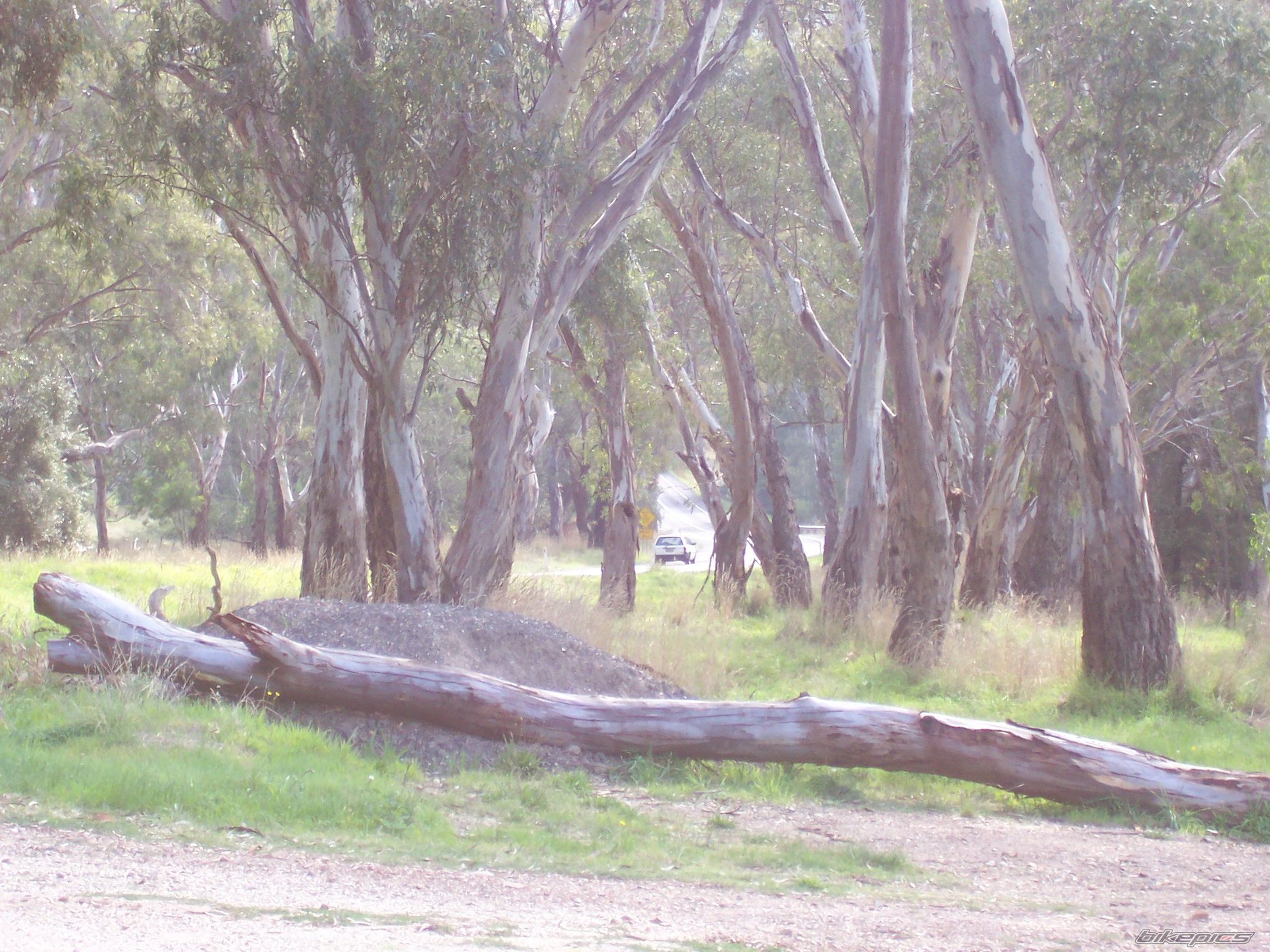 Photo 1954068
