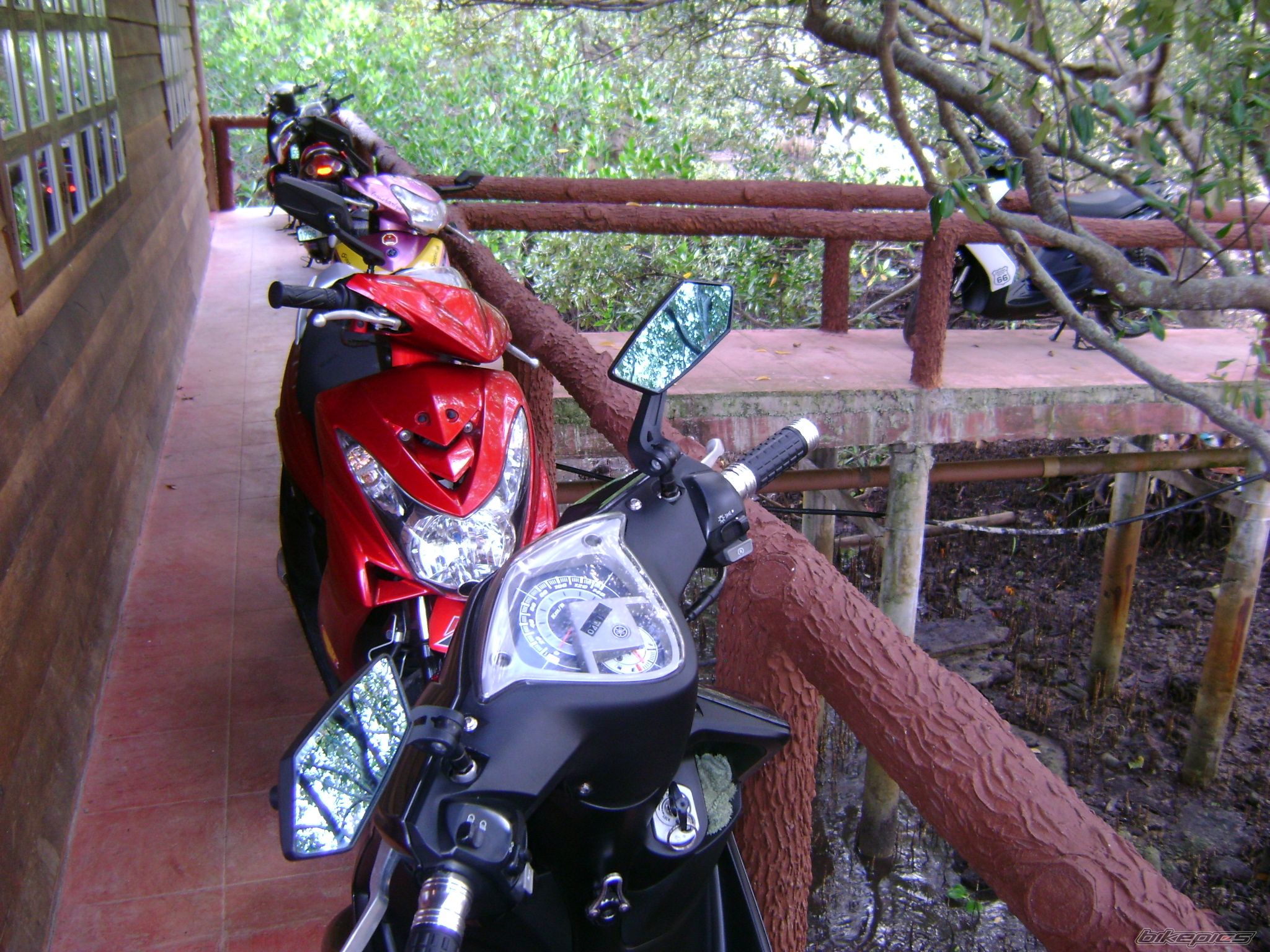 Bike Photo 1954114