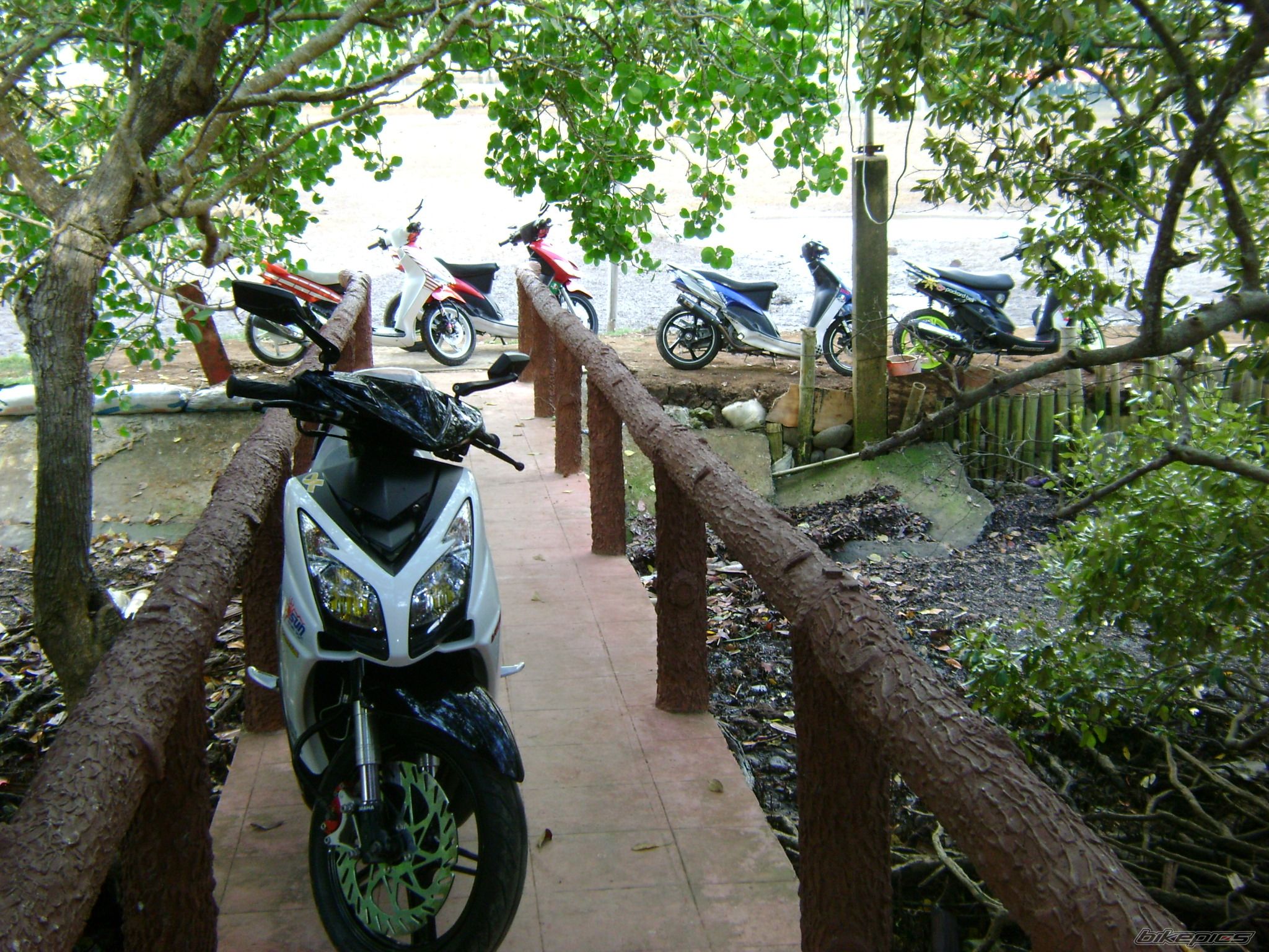 Bike Photo 1954119