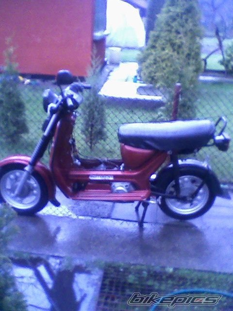 Photo 1954173