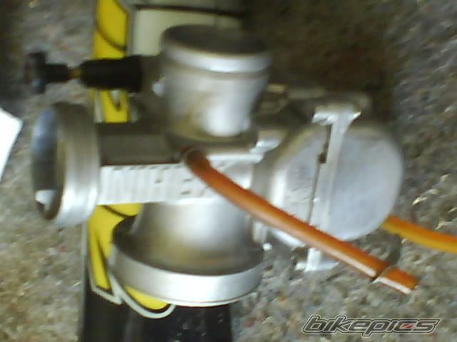 Photo 1954287