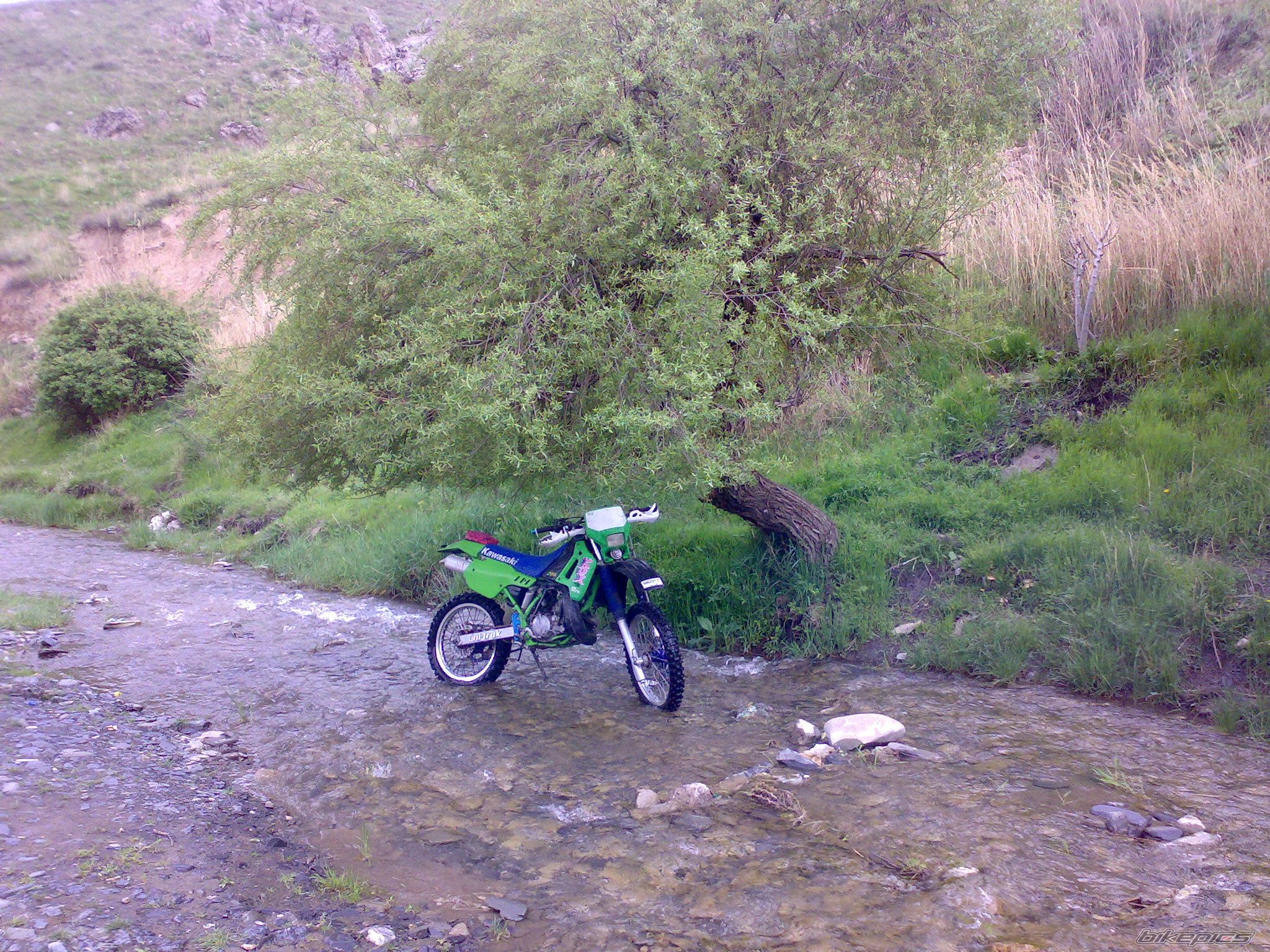 Photo 1954341