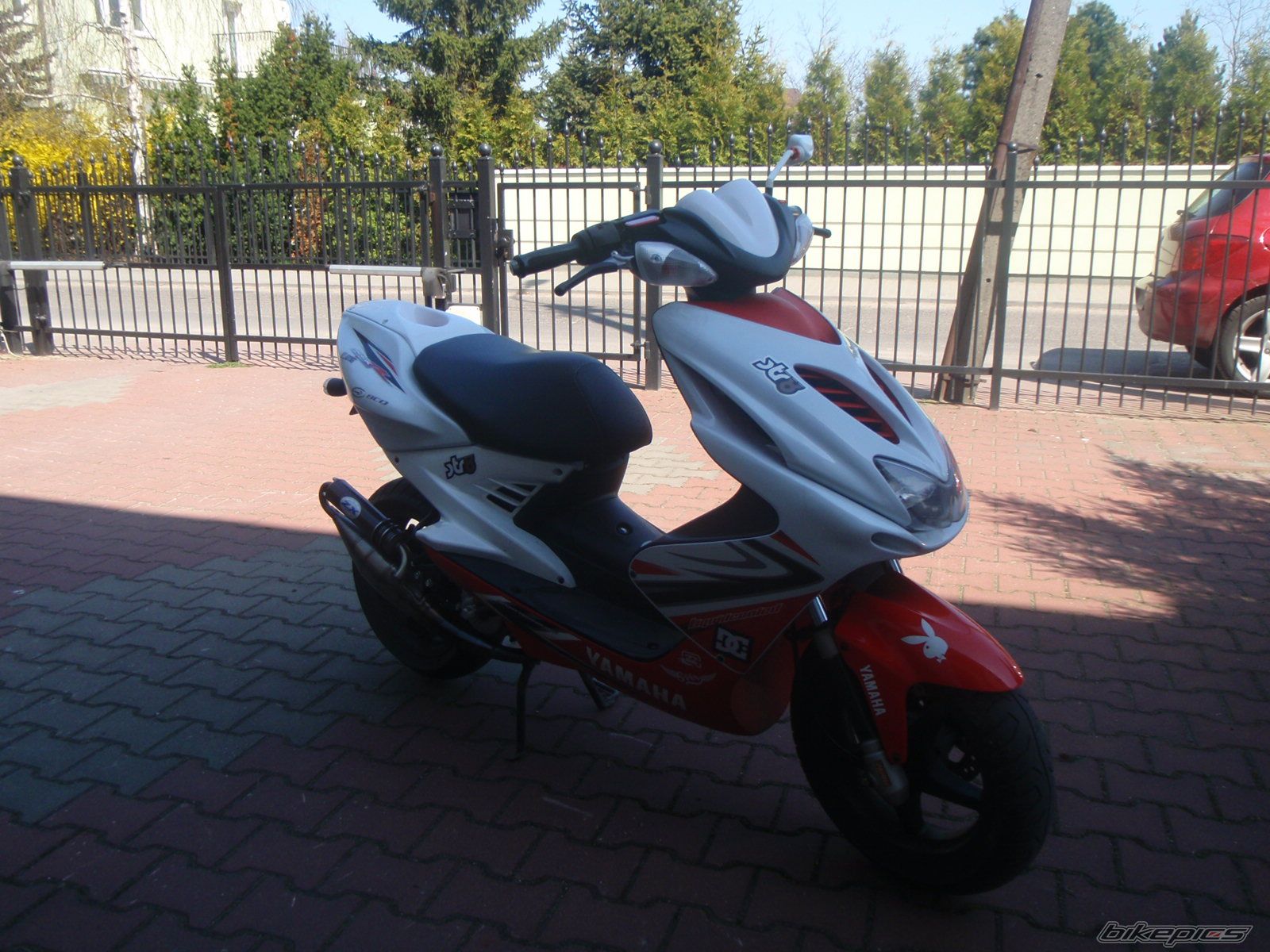 Photo 1954380