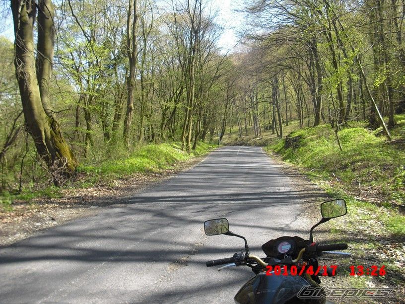 Photo 1954395