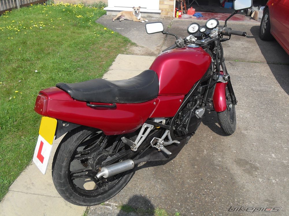 Bike Photo 1954462