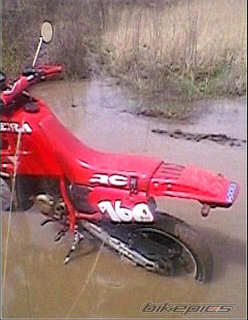 Photo 1954464