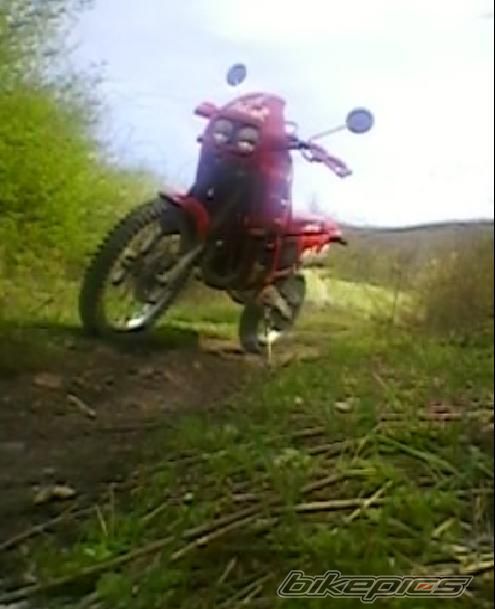 Photo 1954465