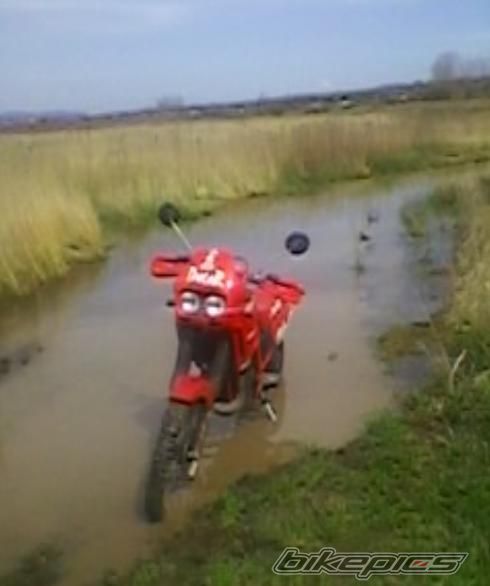 Photo 1954468